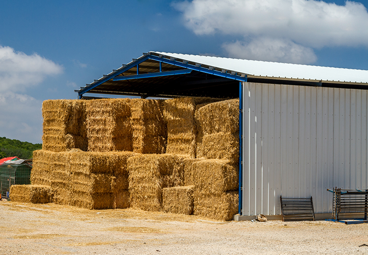 Pole Barn Metal Building with White Metal Roofing and Siding Full of Hay